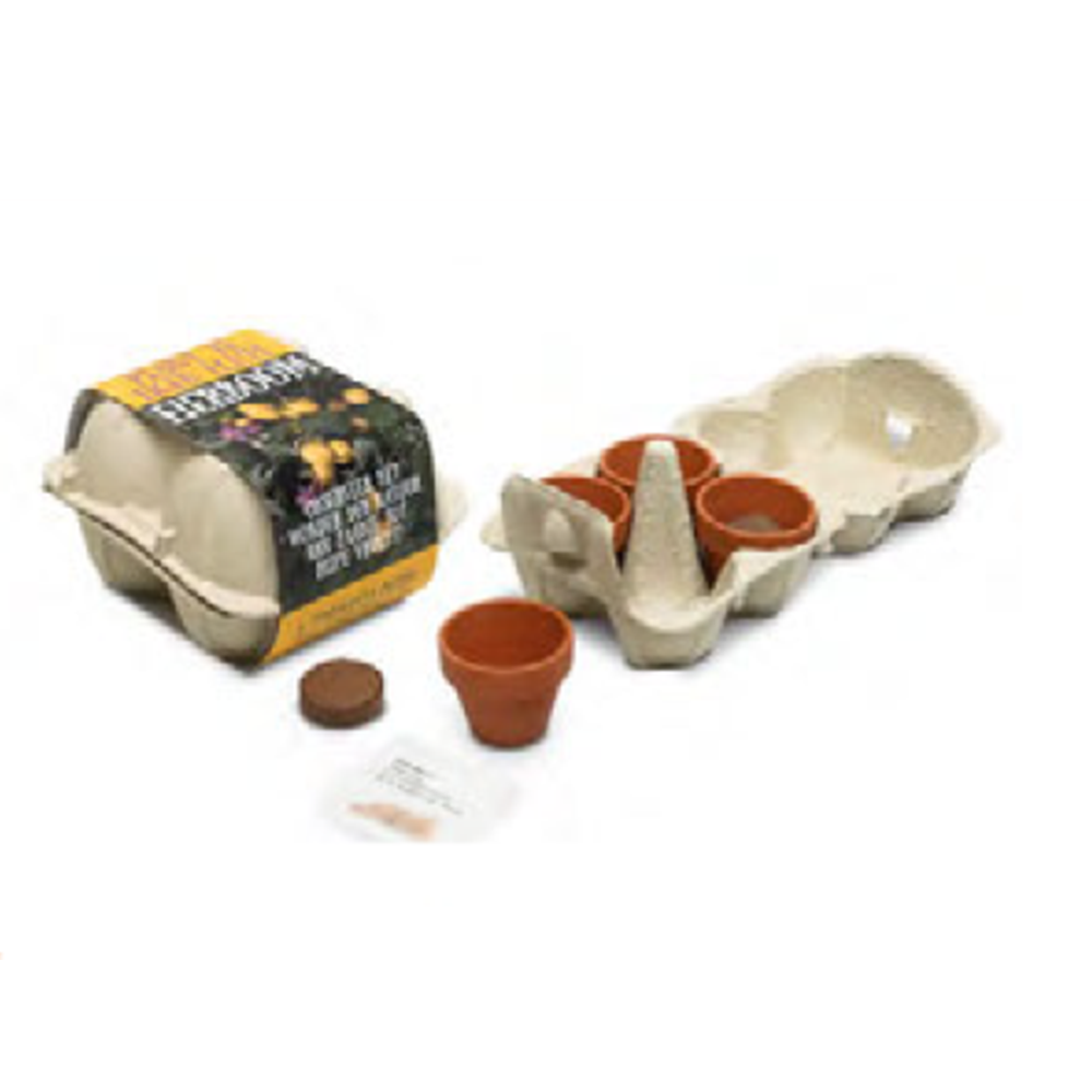 Äggkartong med frön – standard